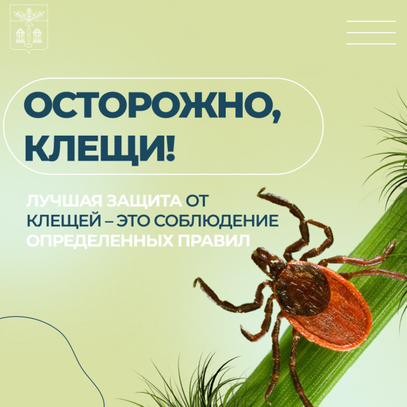 В летний период находиться на природе одно удовольствие. Однако следует всегда помнить о таких паразитах, как клещи!.