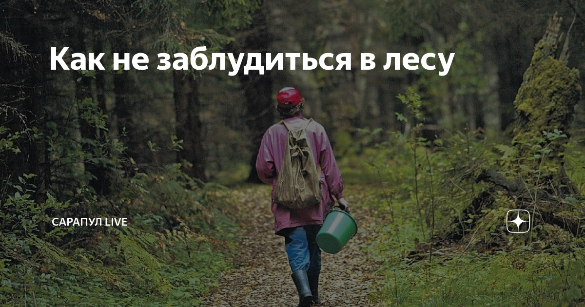 Заблудиться можно даже в знакомом лесу..