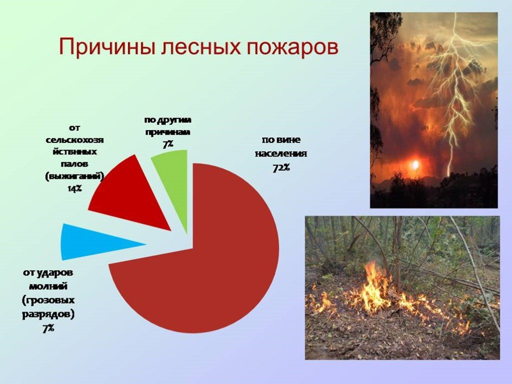 Правила поведения населения при лесных пожарах.