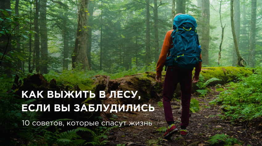 Лесник составил и испытал советы для заблудившихся в лесу..