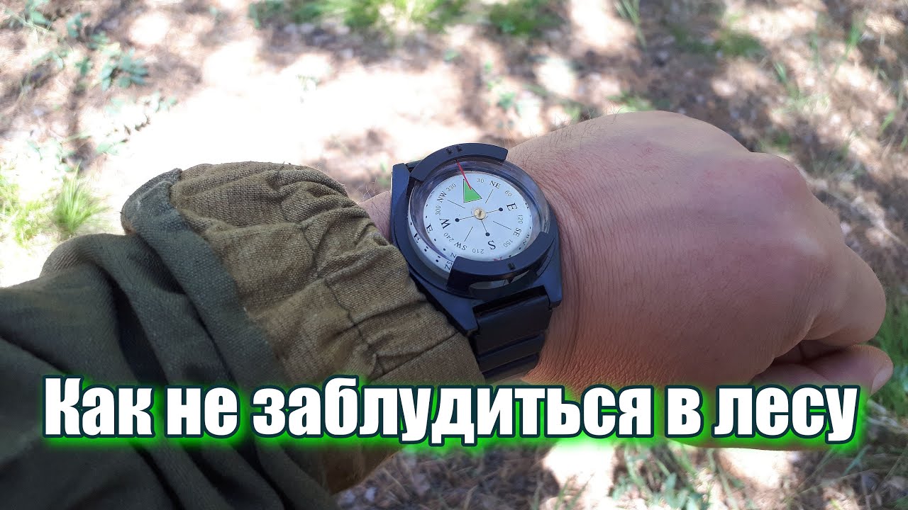 Заблудиться можно даже в знакомом лесу..