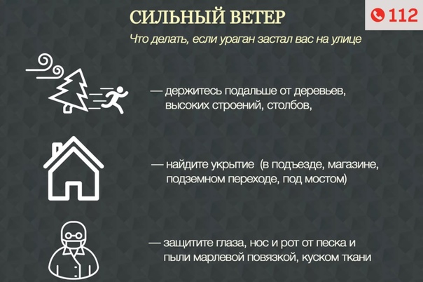 Правила поведения при сильном ветре.