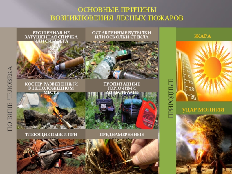 Правила поведения населения при лесных пожарах.