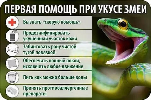 Памятка по безопасности.