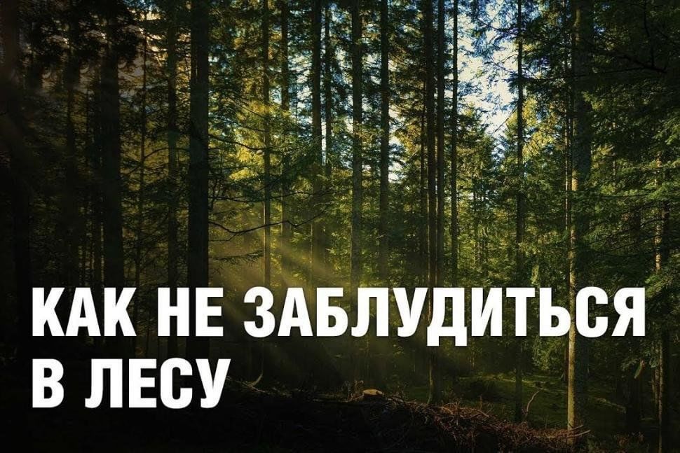 Как не заблудиться в лесу.