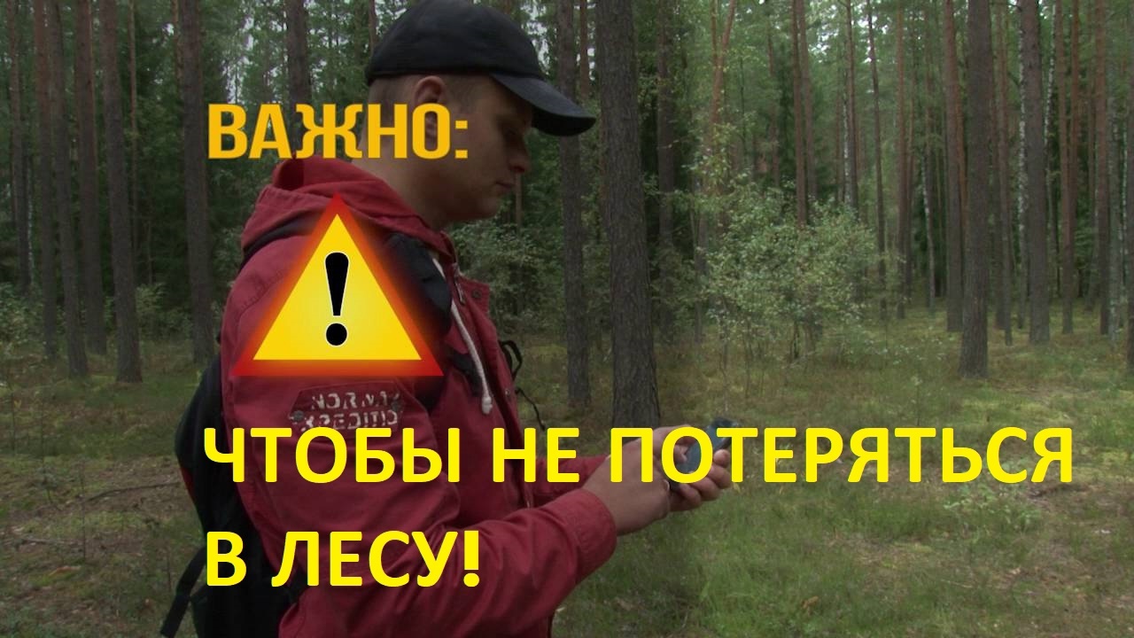Заблудиться можно даже в знакомом лесу..