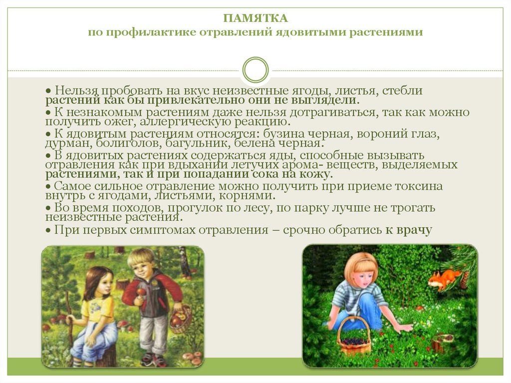 Памятка по профилактике отравлений ядовитыми растениями.