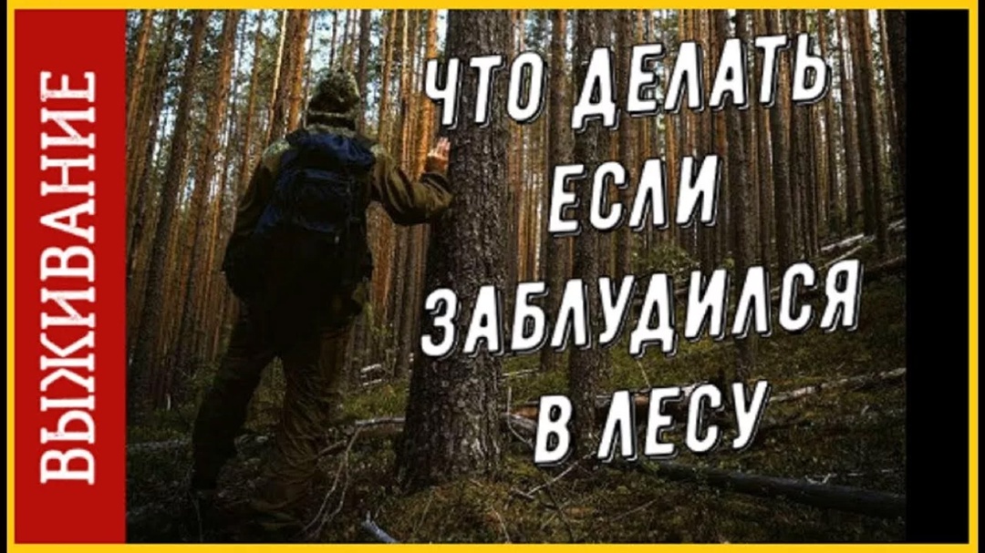 Лесник составил и испытал советы для заблудившихся в лесу..