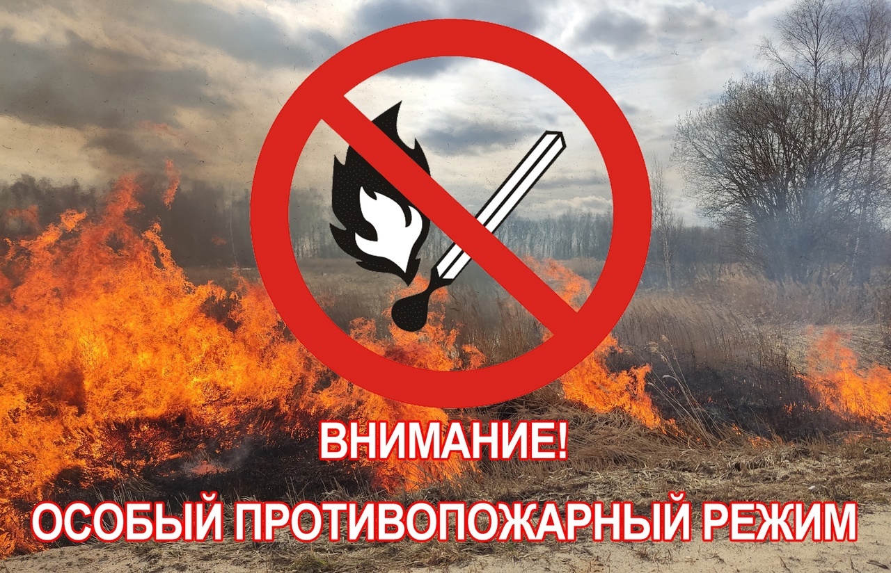 С 5 мая, помимо центральных и южных территорий края, особый противопожарный режим распространился и на большинство северных..