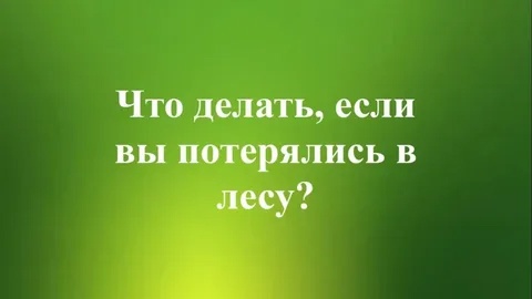 ЕСЛИ ВЫ ПОТЕРЯЛИСЬ В ЛЕСУ.