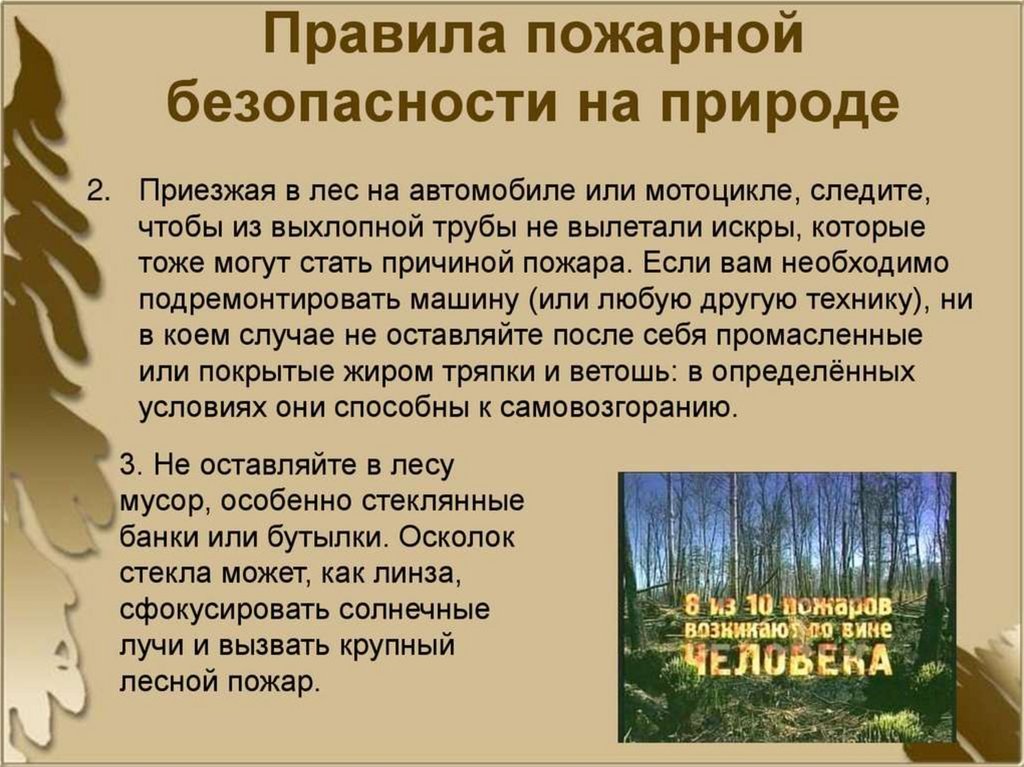 ПАМЯТКА ПРАВИЛА ПОЖАРНОЙ БЕЗОПАСНОСТИ ПРИ НАХОЖДЕНИИ В ЛЕСУ..