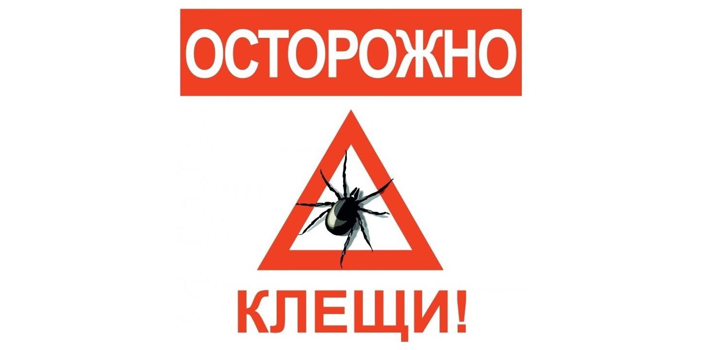 Осторожно клещи!.