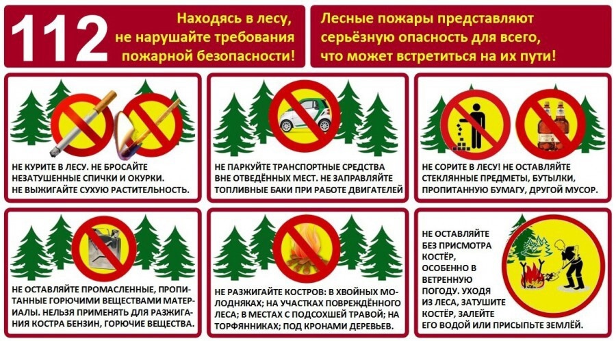 ПАМЯТКА ПРАВИЛА ПОЖАРНОЙ БЕЗОПАСНОСТИ ПРИ НАХОЖДЕНИИ В ЛЕСУ..