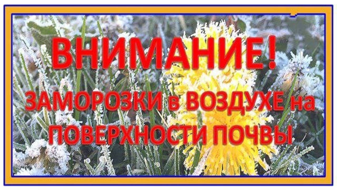 Заморозки!.