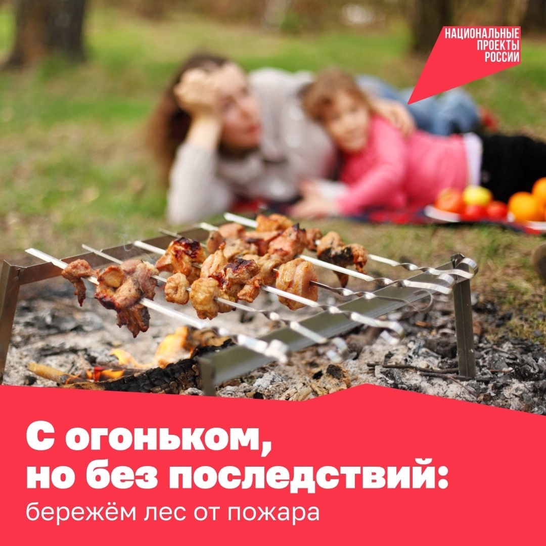 Сезон шашлыков уже начался — хочется махнуть в лес и отдохнуть у костра.