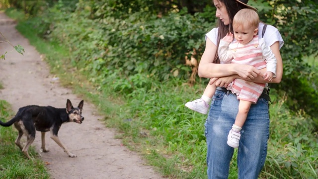 Встреча с бродячей собакой может быть опасной, особенно если животное агрессивное или больное..