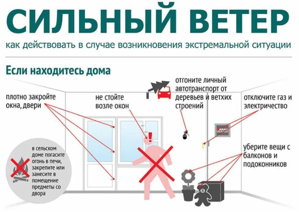 Правила поведения при сильном ветре.