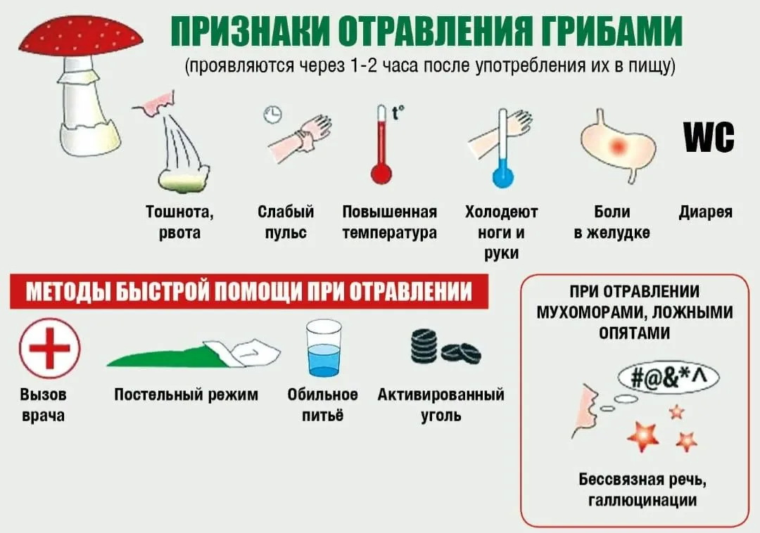 Отравление грибами клинические проявления