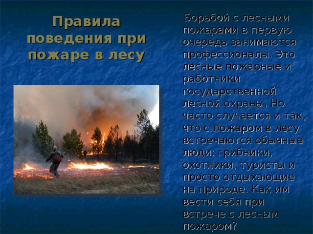 Правила поведения населения при лесных пожарах.
