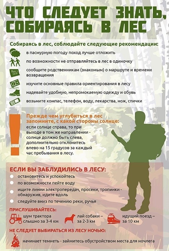 Правила безопасности в лесу.
