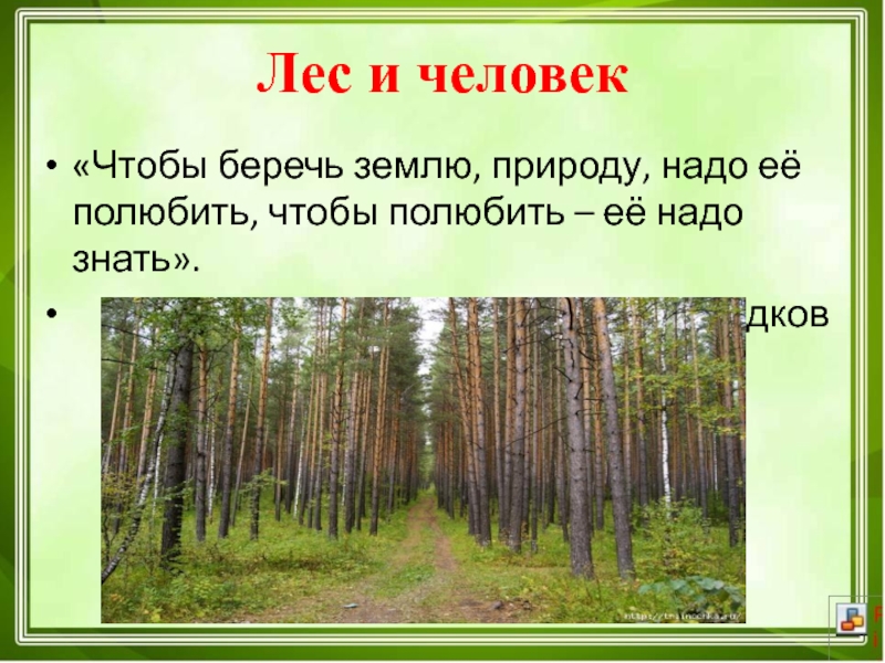 Запрещающие знаки леса.