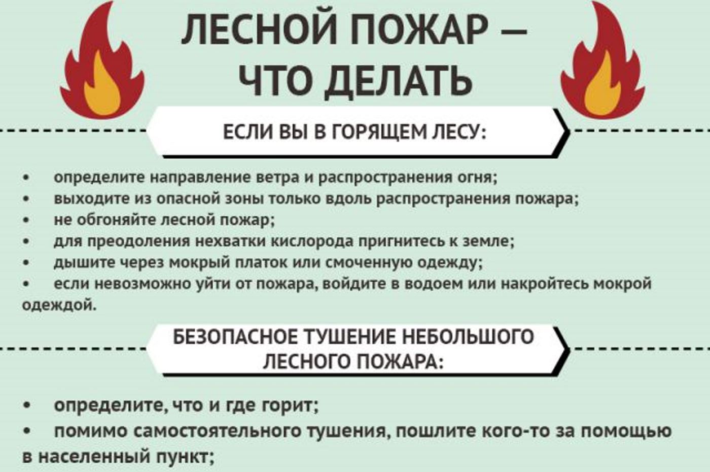 Как вести себя при лесном пожаре.