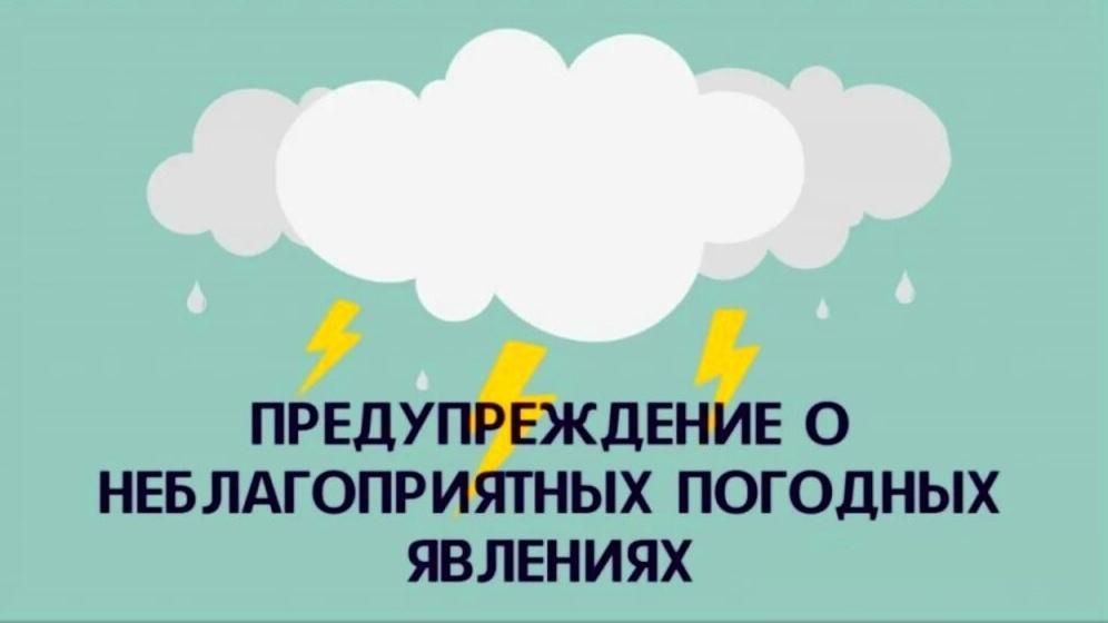 ПРЕДУПРЕЖДЕНИЯ.