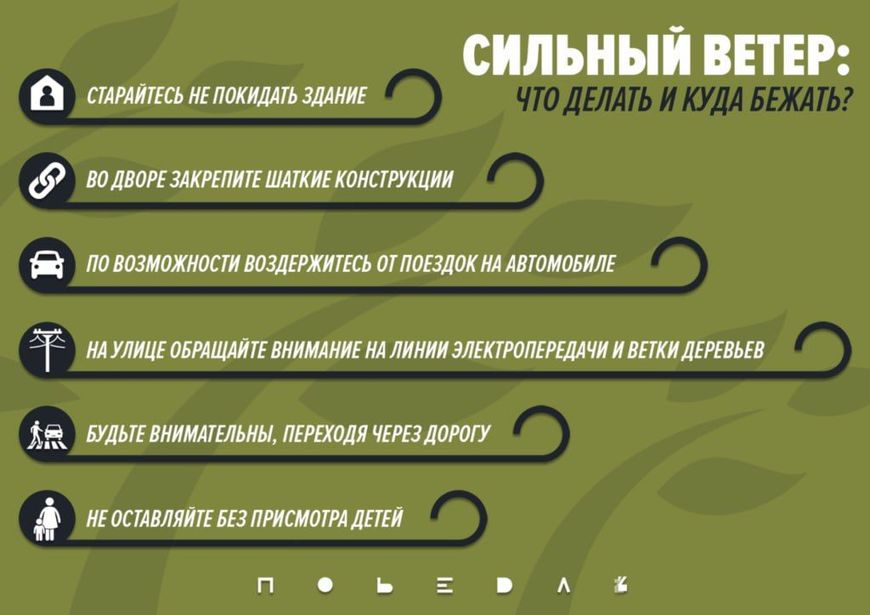 Правила поведения при сильном ветре.