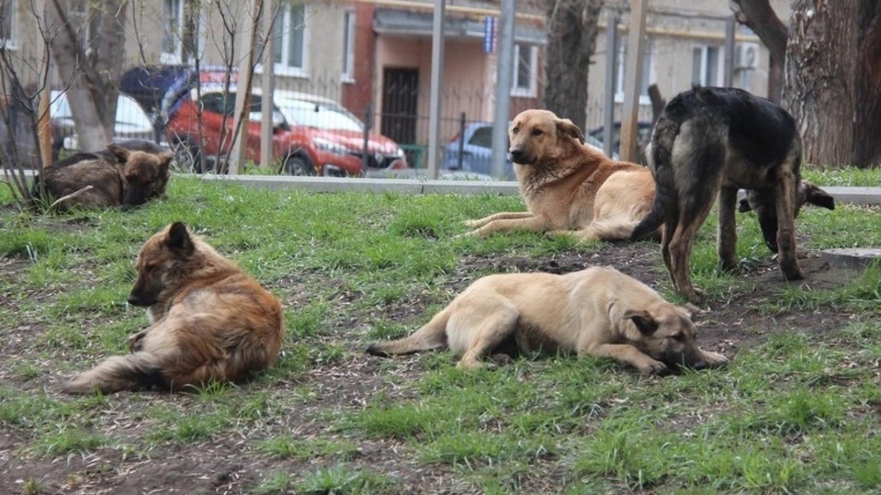 Памятка по безопасности.