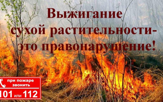 ПАМЯТКА о запрете сжигания сухой травы.
