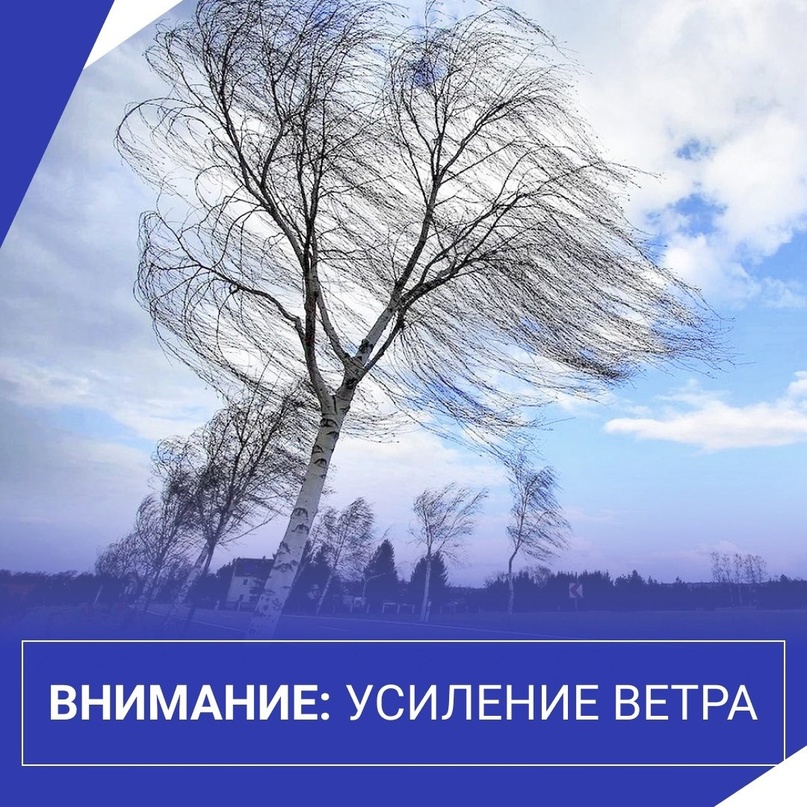 ПРЕДУПРЕЖДЕНИЯ.
