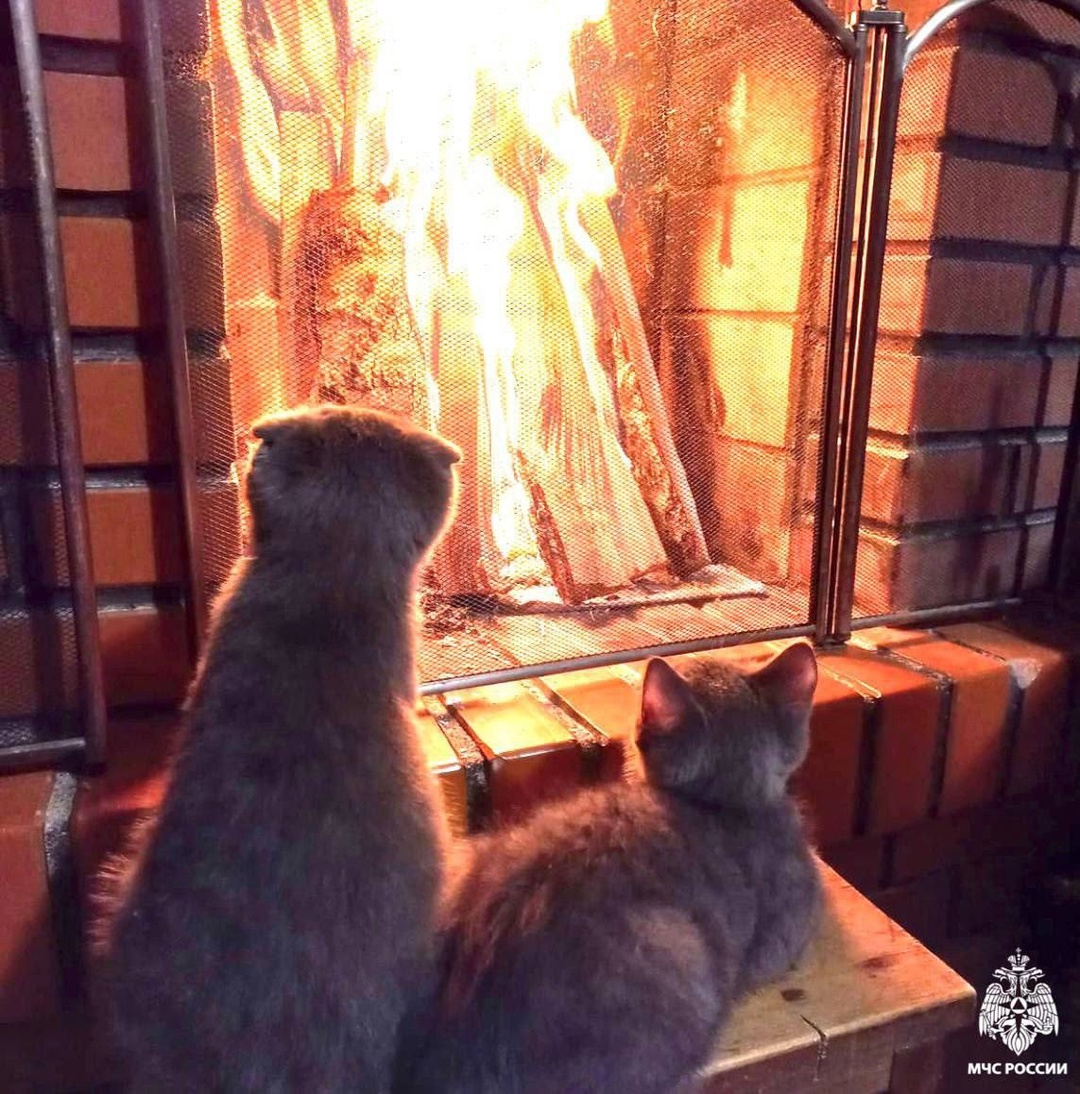 ♥️Секреты уютного вечера.