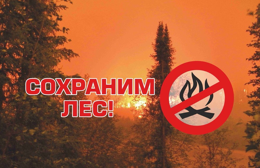 В ПОЖАРООПАСНЫЙ ПЕРИОД ВОЗДЕРЖИТЕСЬ ОТ ПОСЕЩЕНИЯ ЛЕСА!.