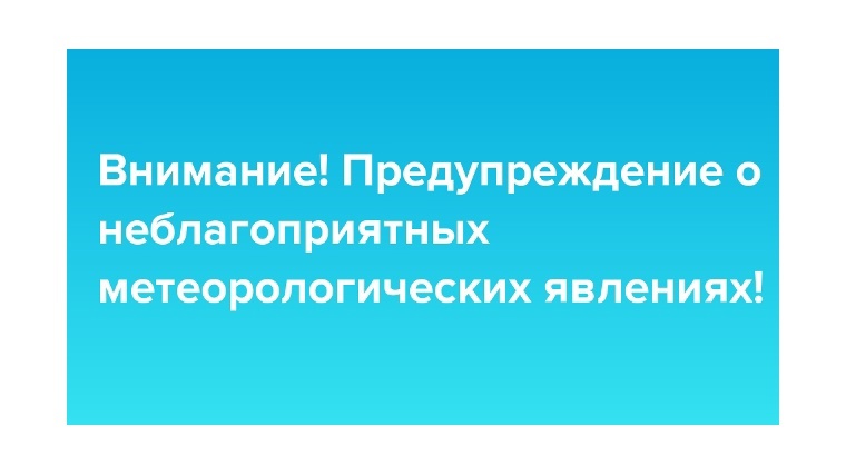 ПРЕДУПРЕЖДЕНИЯ.