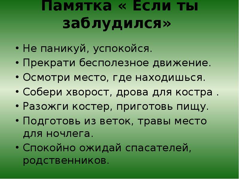 Как вести себя в лесу если заблудился.