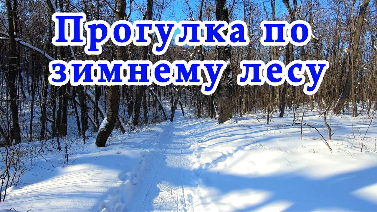 Памятка для прогулок по лесу зимой:.