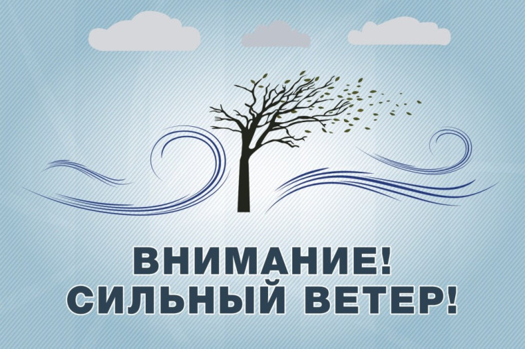 Внимание!. Внимание!.