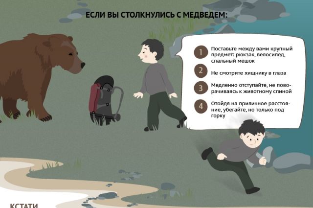 Внимание!. Внимание!.