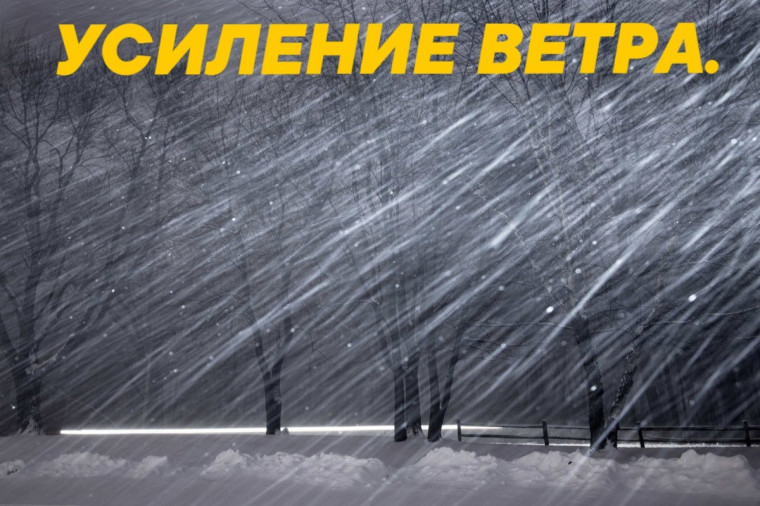 Внимание!. Внимание!.