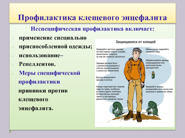 Памятка по безопасности. Памятка по безопасности.