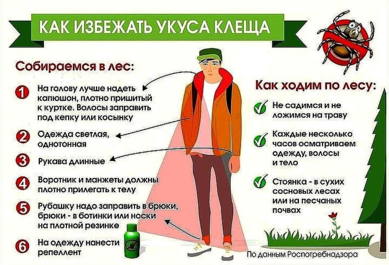 Памятки по безопасности. Памятки по безопасности.