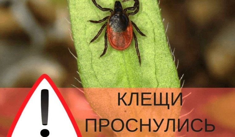 Памятка по безопасности. Памятка по безопасности.
