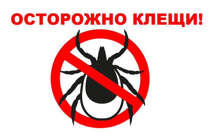 Памятка по безопасности. Памятка по безопасности.