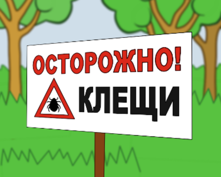 Памятка по безопасности. Памятка по безопасности.