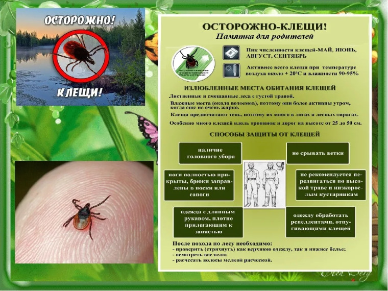 Памятки по безопасности. Памятки по безопасности.