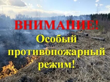 Внимание!. Внимание!.