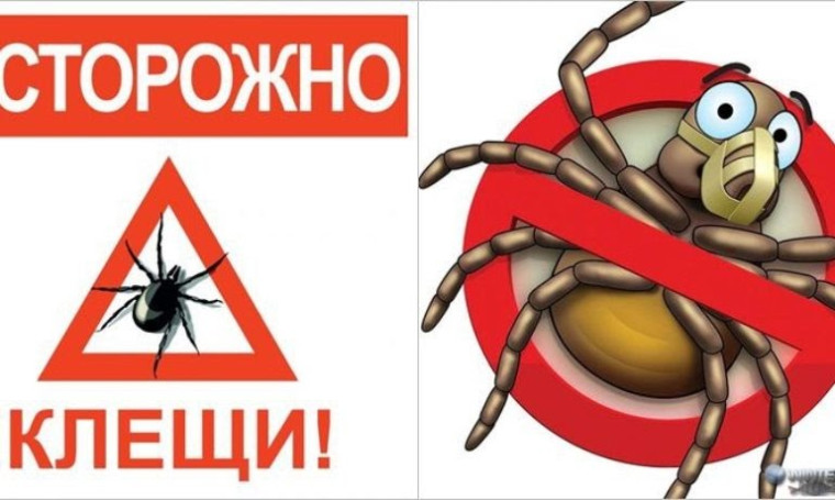 Памятка по безопасности. Памятка по безопасности.