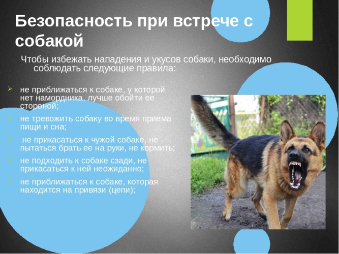 Памятка по безопасности. Памятка по безопасности.