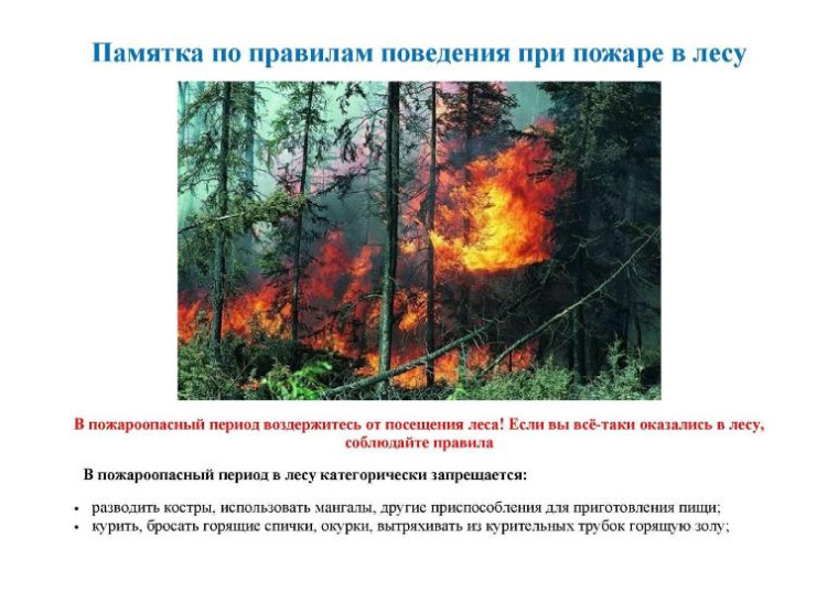 Памятка по безопасности. Памятка по безопасности.
