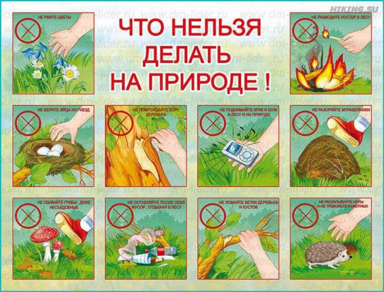 Памятка по безопасности. Памятка по безопасности.